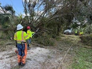 Cleanup From Hurricane Milton - Columbus, OH - JJ's Family Tree Service