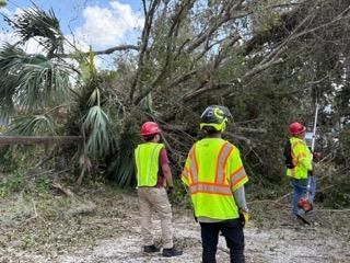 Cleanup From Hurricane Milton - Columbus, OH - JJ's Family Tree Service