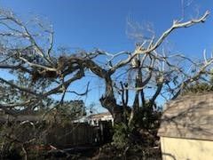Cleanup From Hurricane Milton - Columbus, OH - JJ's Family Tree Service