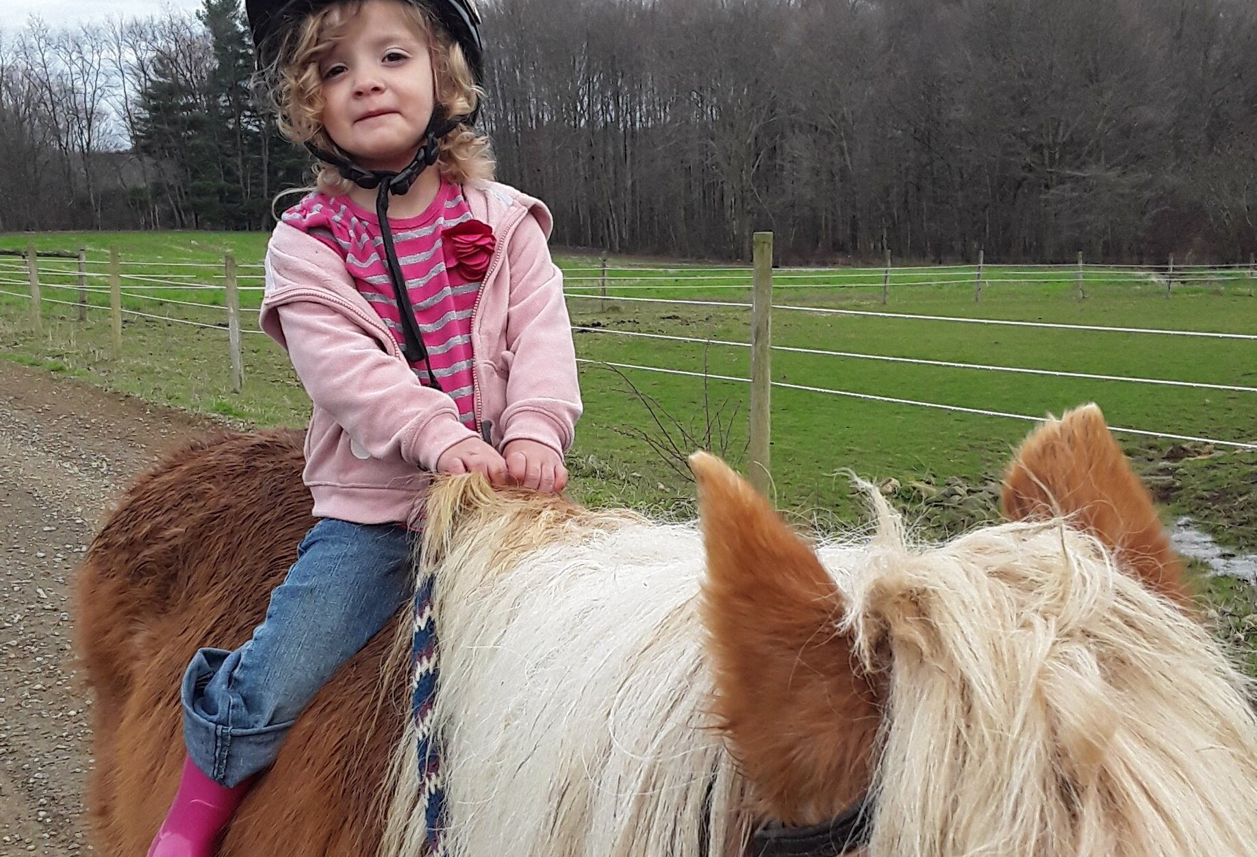 A little girl is riding on the back of a brown and white horse.