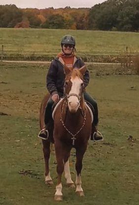 A woman is riding a brown horse in a field.