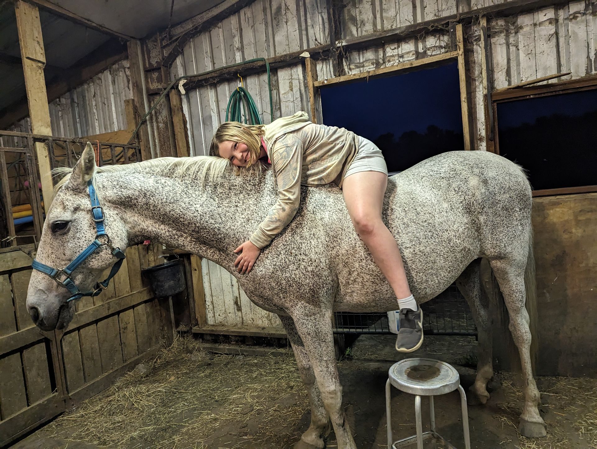 A person is laying on the back of a horse in a barn.
