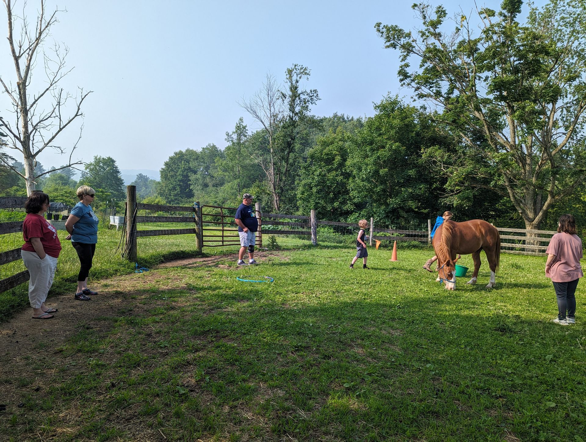 A group of people are standing in a grassy field next to a horse.