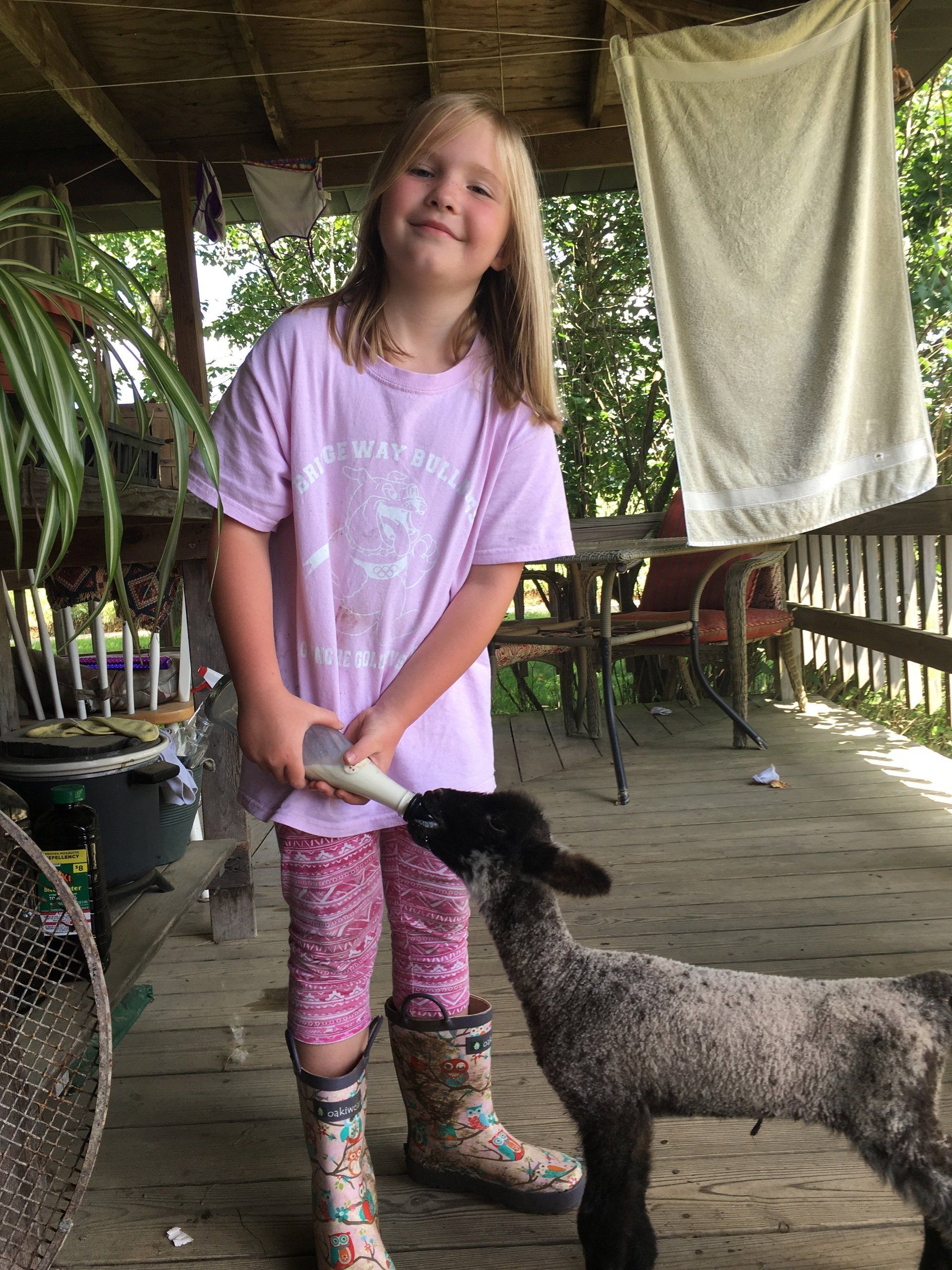 a girl is bottlefeeding a lamb