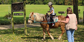 RIDING LESSON @ TFO Farm