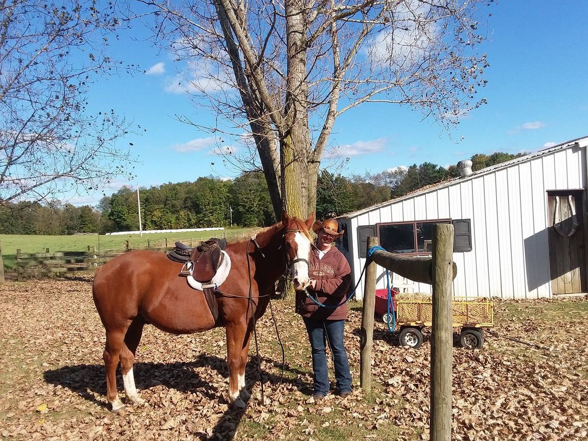 Foundations of Recovery - Horses in Ministry & Foundations of Vision Horsemanship Programs