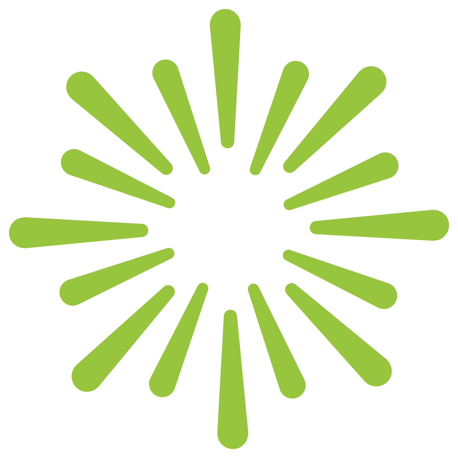 A green fireworks icon on a white background