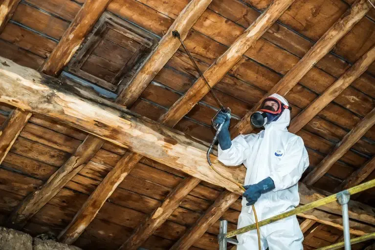 Un homme en combinaison de protection pulvérise une poutre en bois avec un pulvérisateur.