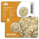 $1 Coin Blister Packaging