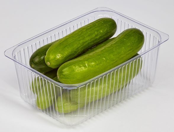Clear Plastic Trays