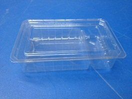 Clear Sushi Clamshell