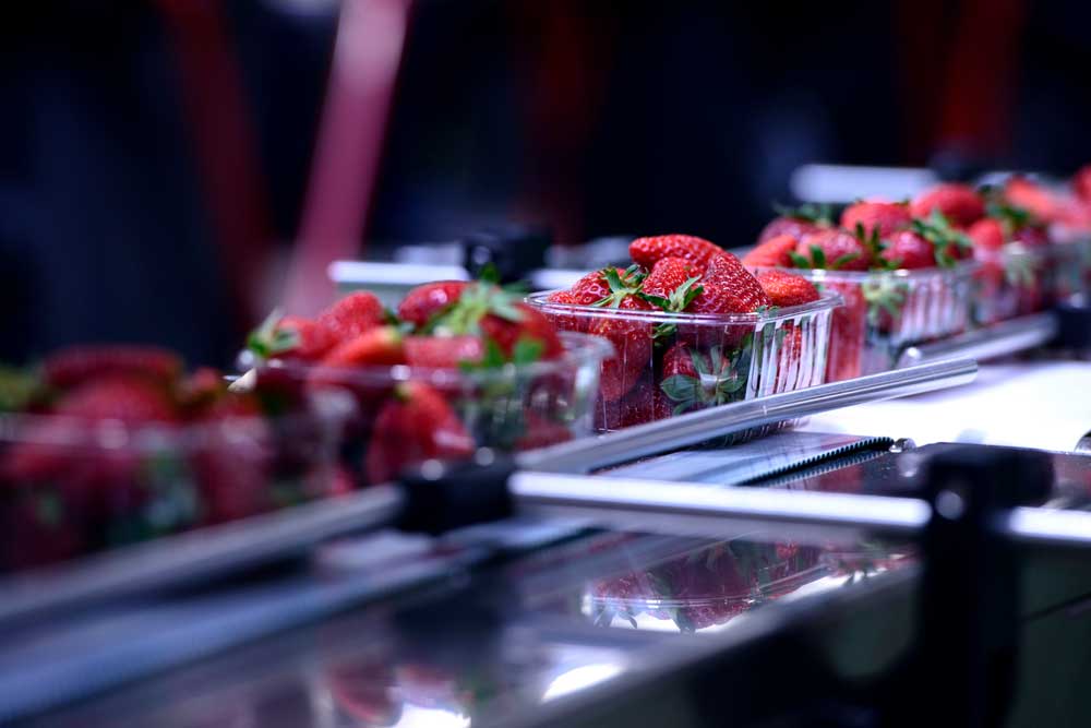 Freshly Cut Fruits in Plastic Containers
