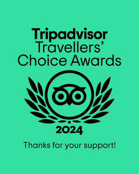 tripadvisor