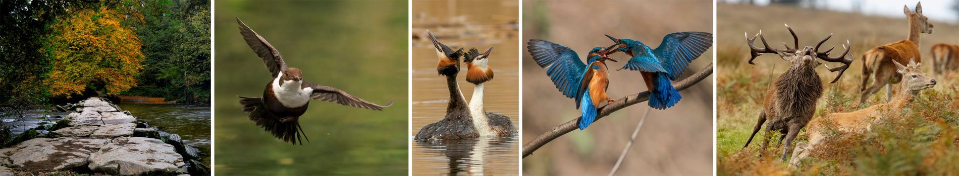 exmoor photography course