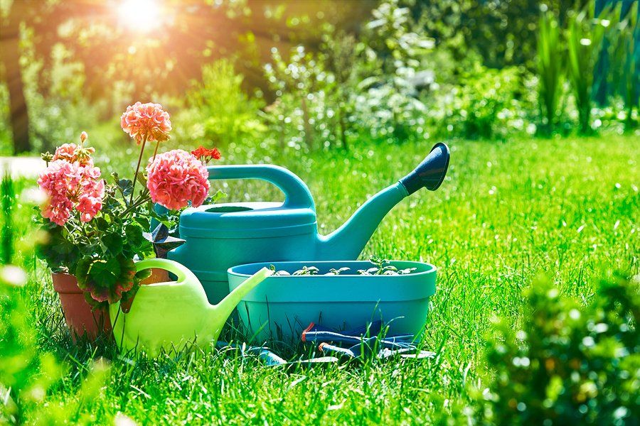 Watering Flowers & Lawn