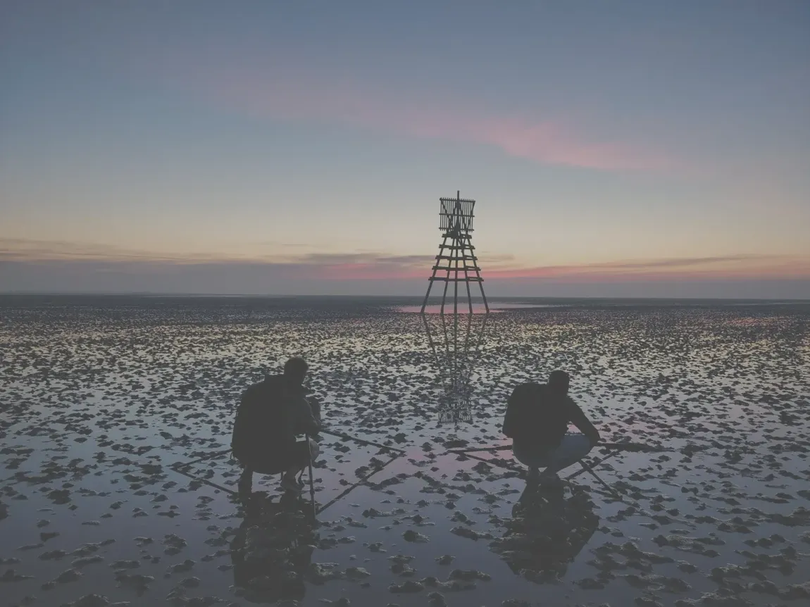 Wadlopen. Schiermonnikoog. Teambuilding. Samenwerken in een team. Excursies.