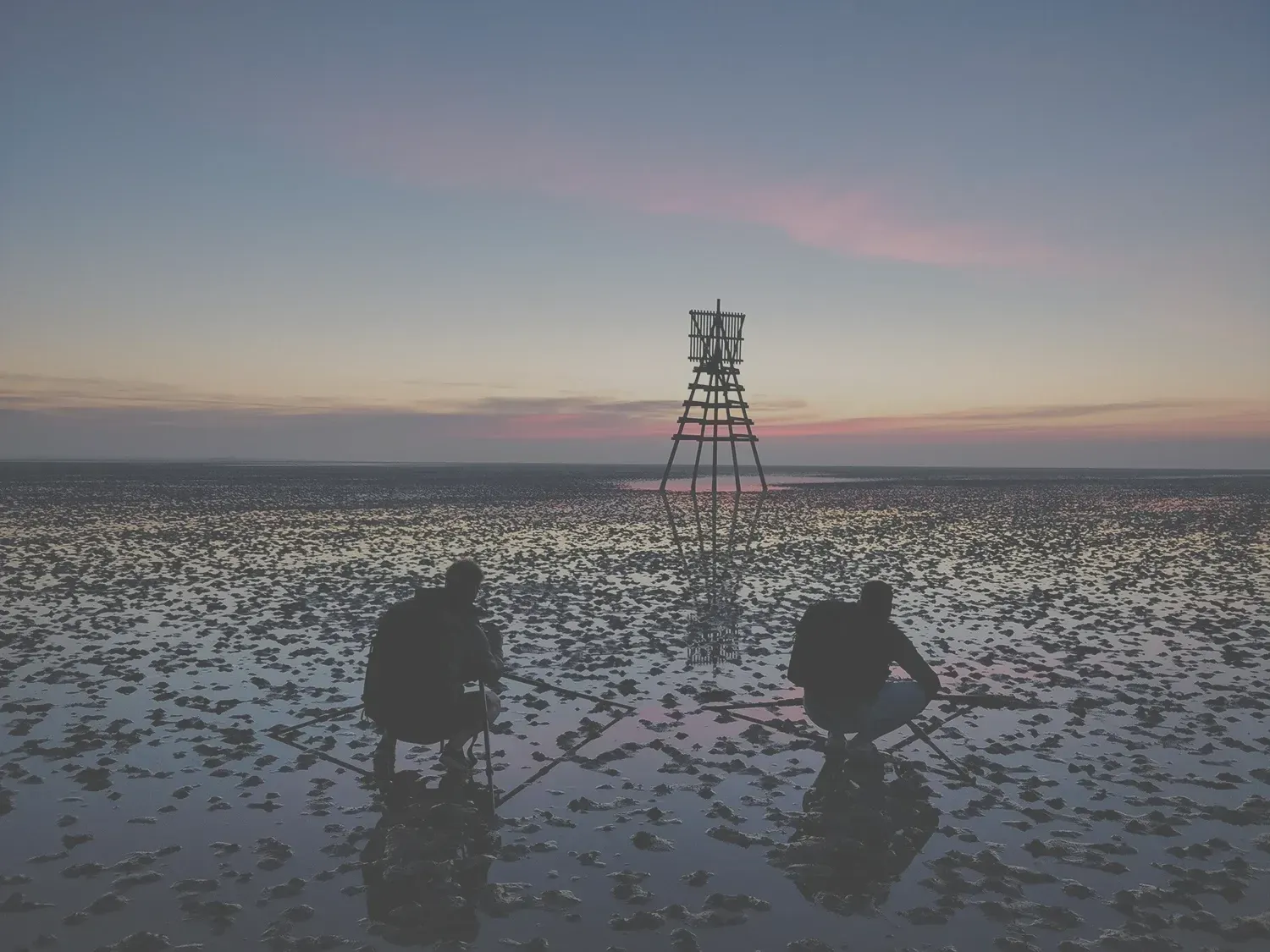 Wadlopen. Schiermonnikoog. Teambuilding. Samenwerken in een team. Excursies.
