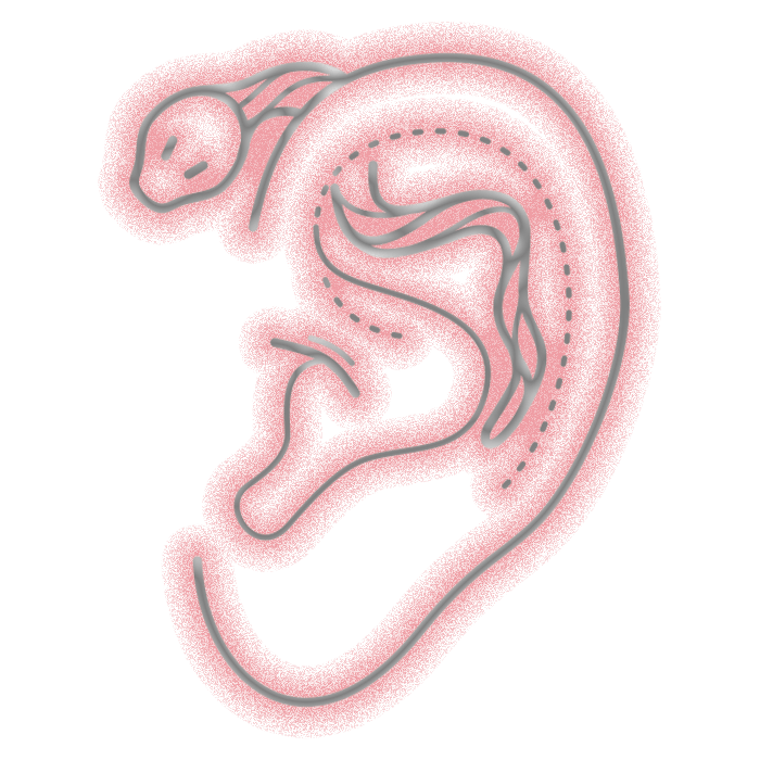 Swiss School tattoo Lausanne école de tatouage et piercing