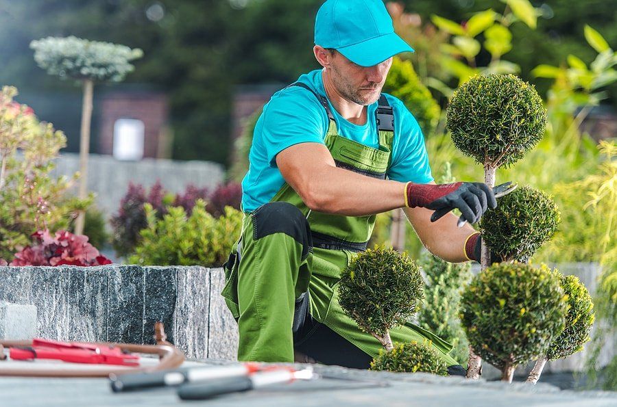garden pruning
