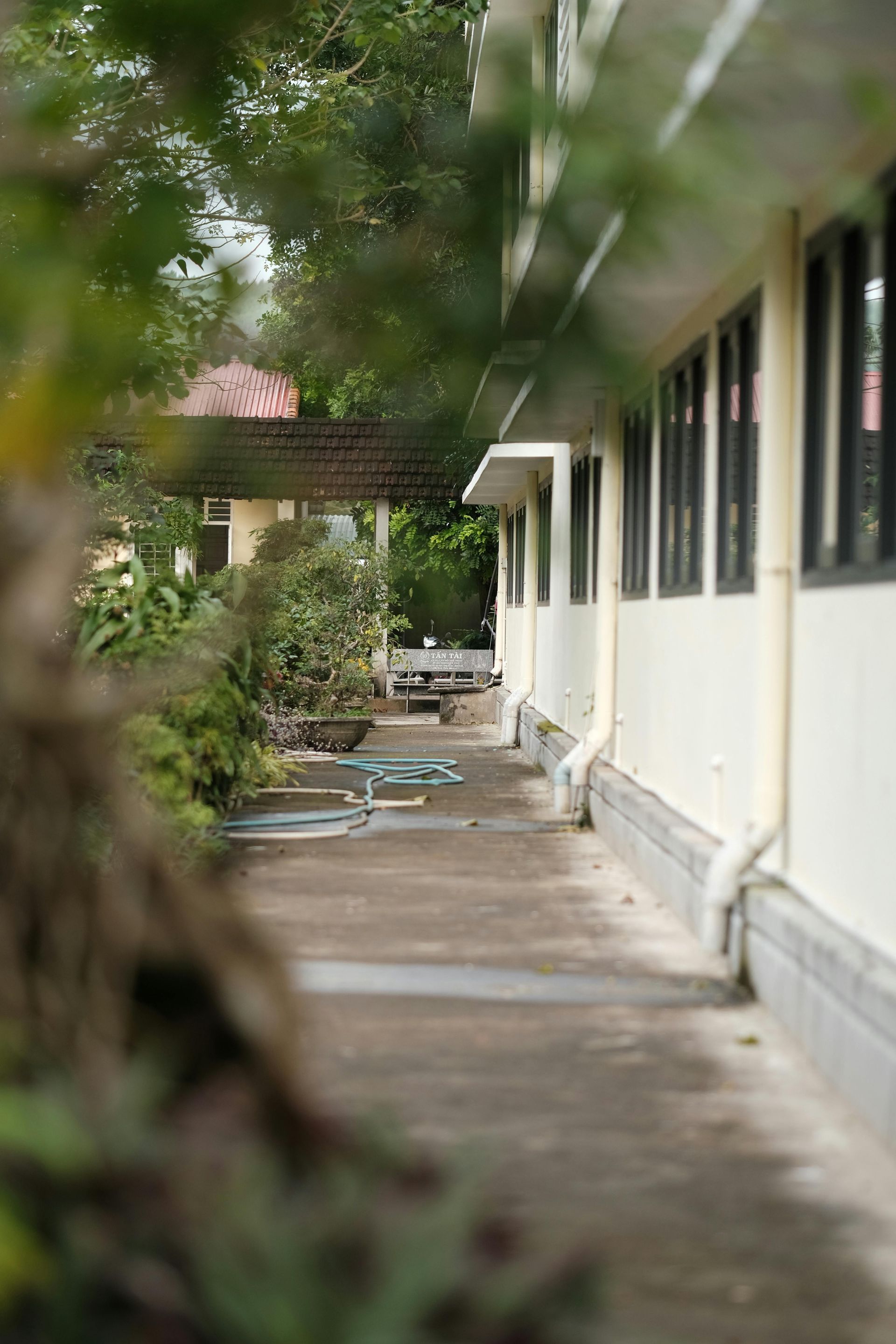 Sidewalk alongside a light-colored building with dark windows. Green foliage partially obscures the foreground.