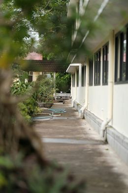Sidewalk alongside a light-colored building with dark windows. Green foliage partially obscures the foreground.