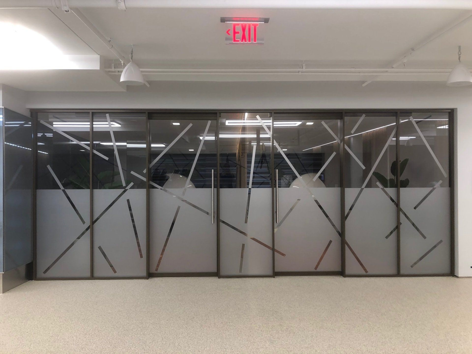 Glass Surfaces/Partition graphics