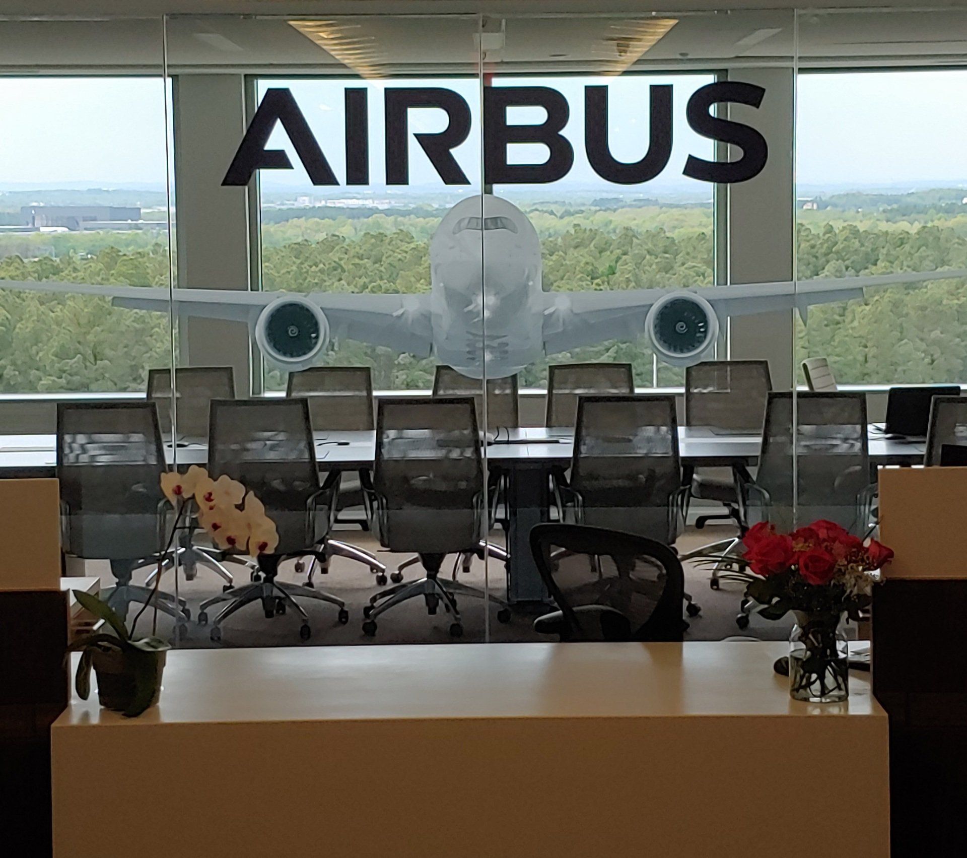 Glass Surfaces/Partition graphics