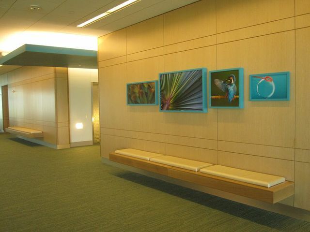 Wall Décor (UV prints, canvas wraps and more)