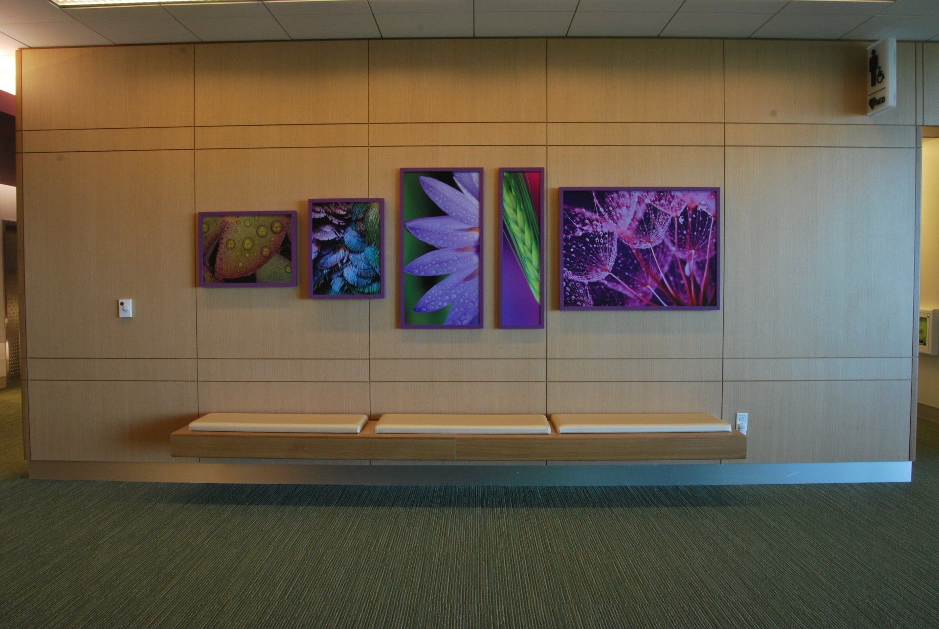 Wall Décor (UV prints, canvas wraps and more)