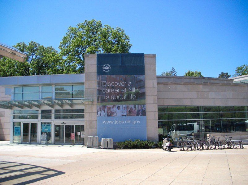 Schools and Universities Gallery