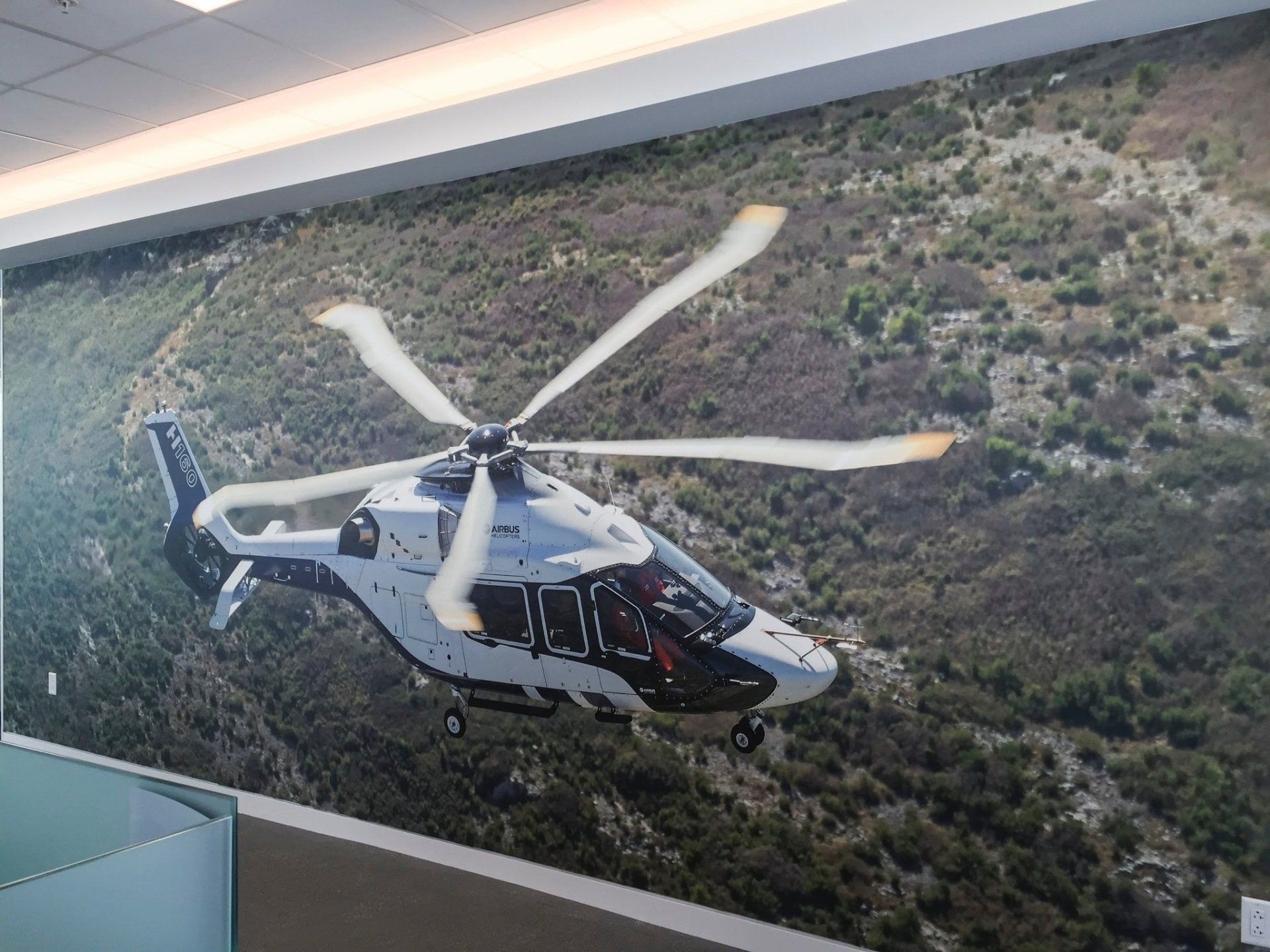 Wall Coverings, Column Wraps and Murals