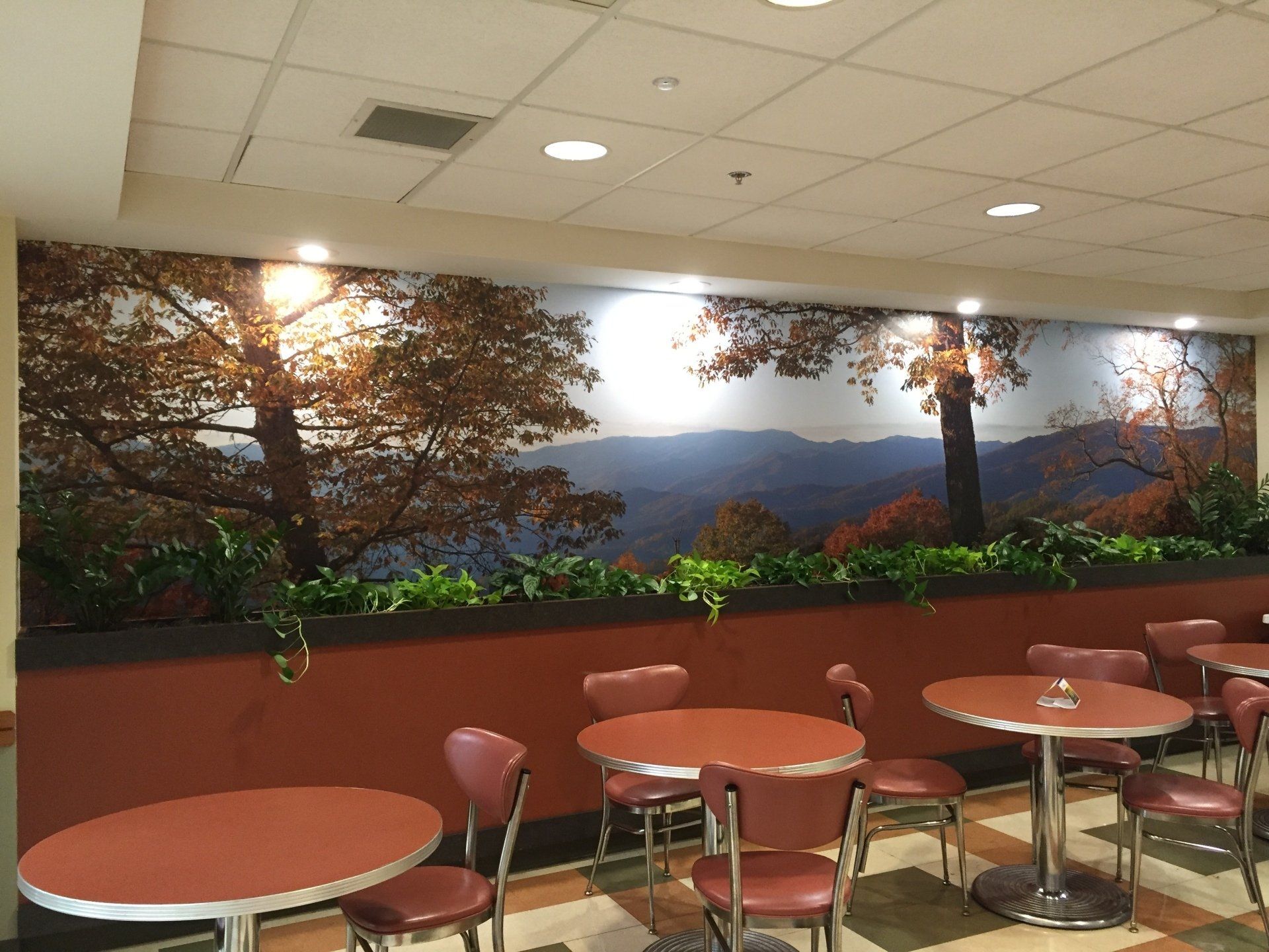 Wall Coverings, Column Wraps and Murals
