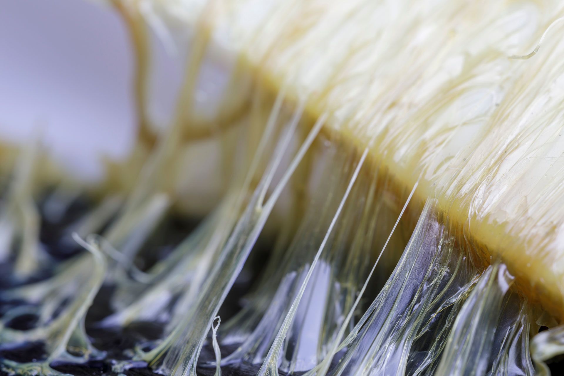 Macro close-up of translucent plant fibers with dark stamens and a pale yellow petal edge