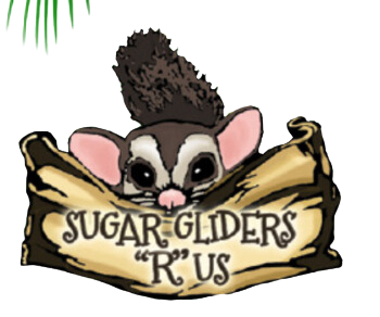 sugar gliders logo