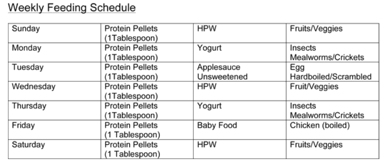 weekly feeding schedule