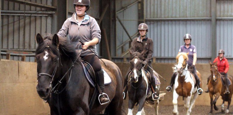 Group Horse riding lessons