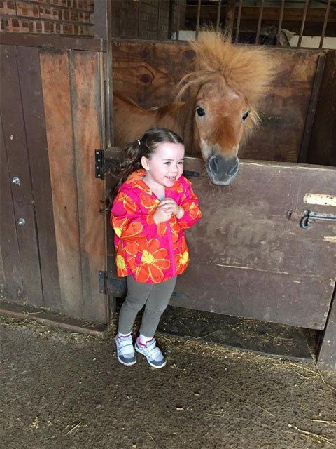 A small girl with a horse