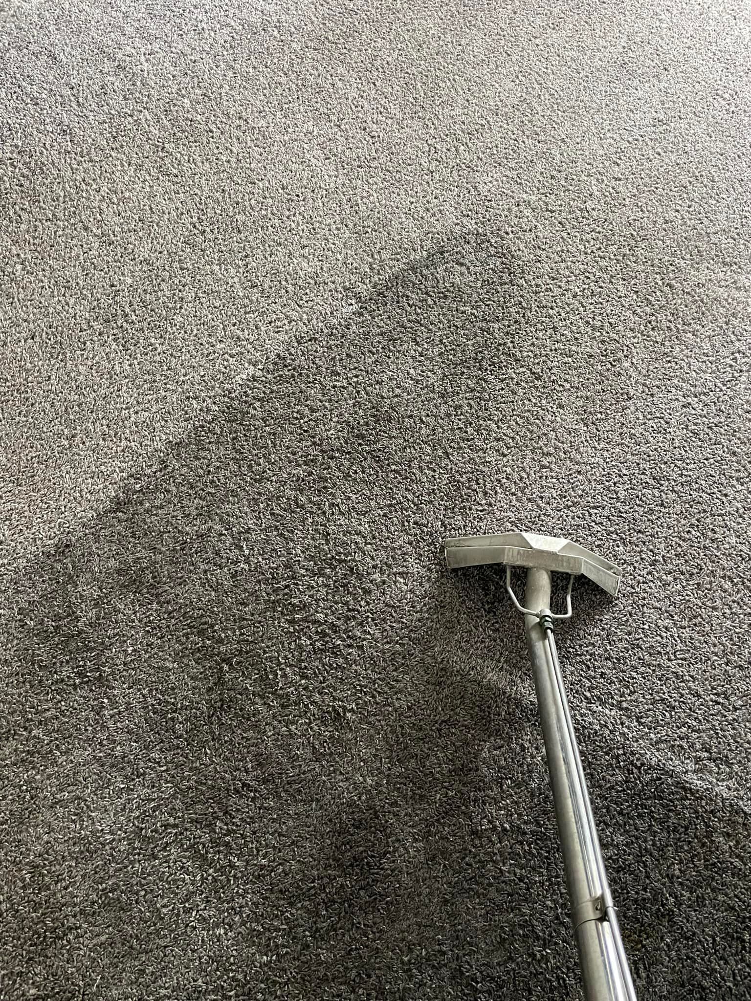 Carpet being cleaned with a carpet cleaner, showing clean area contrasting with dirty area.