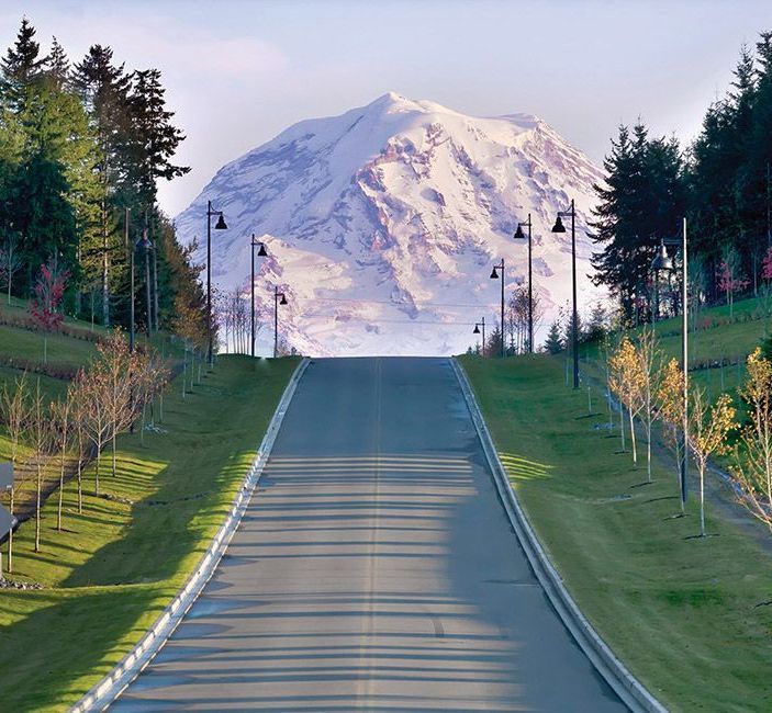 Rapid Haul Away provides junk removal services in Bonney Lake, WA