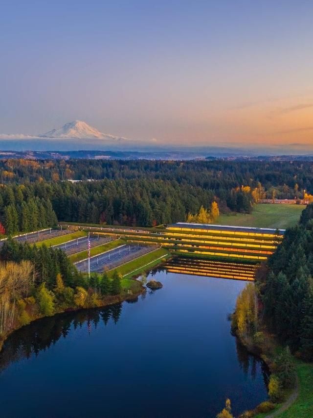 Rapid Haul Away provides junk removal services in Lakeland South, WA