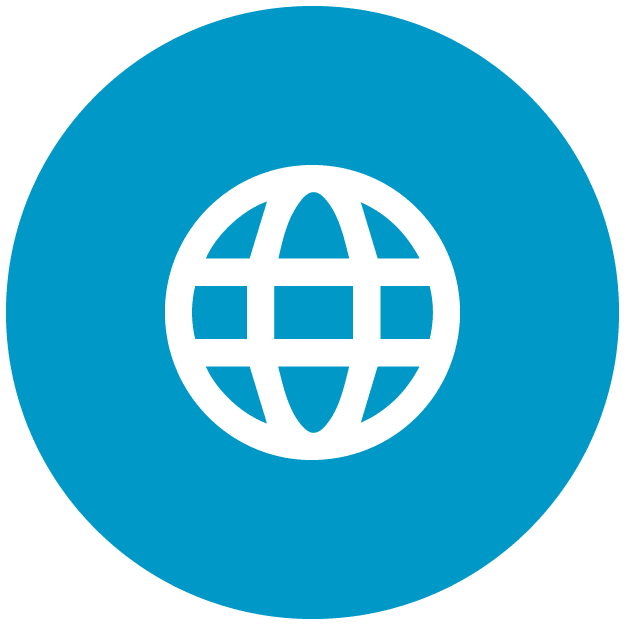 A white globe in a blue circle on a white background.