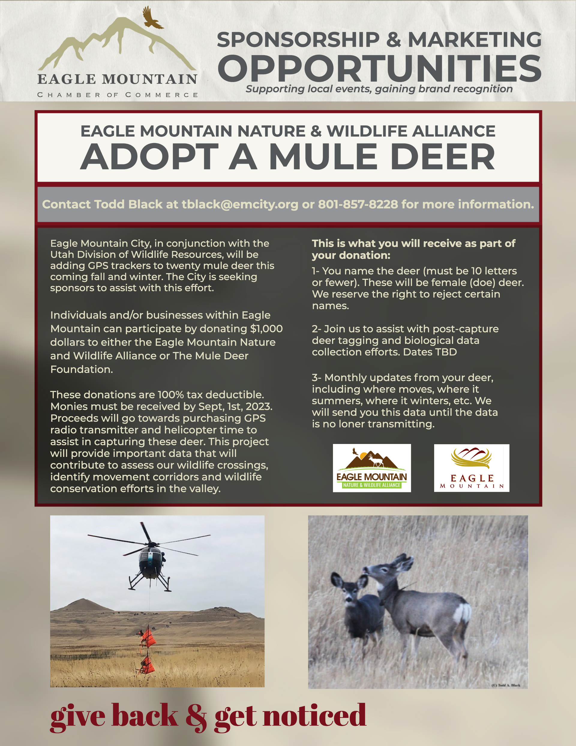 An ad for sponsorship and marketing opportunities to adopt a mule deer