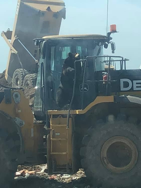 Yellow John Deere construction machine dumping dirt.