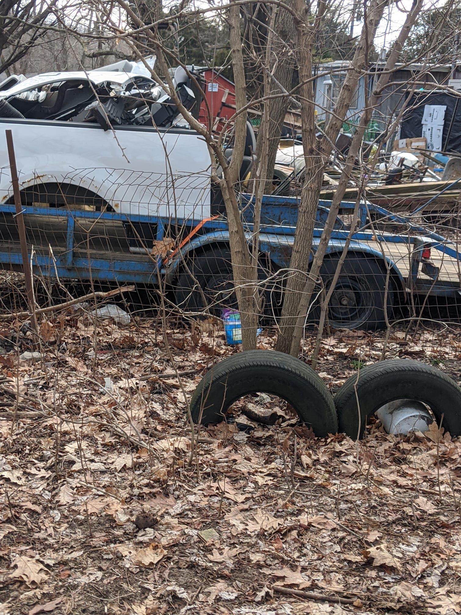 White truck on a blue trailer. Two tires in foreground with brown leaves. Trees in between.