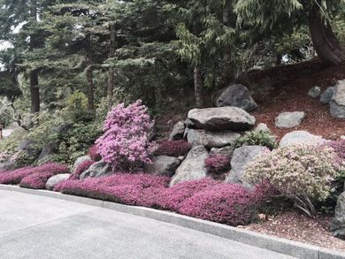 Planting & Boulder Placement — Sequim WA — Creative Landscape by Dan Blood