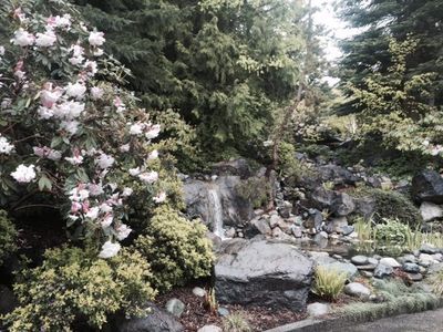 Pond and Water Feature — Sequim WA — Creative Landscape by Dan Blood