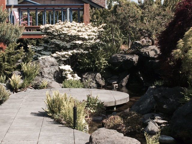 Pond with Rock Formation — Sequim WA — Creative Landscape by Dan Blood