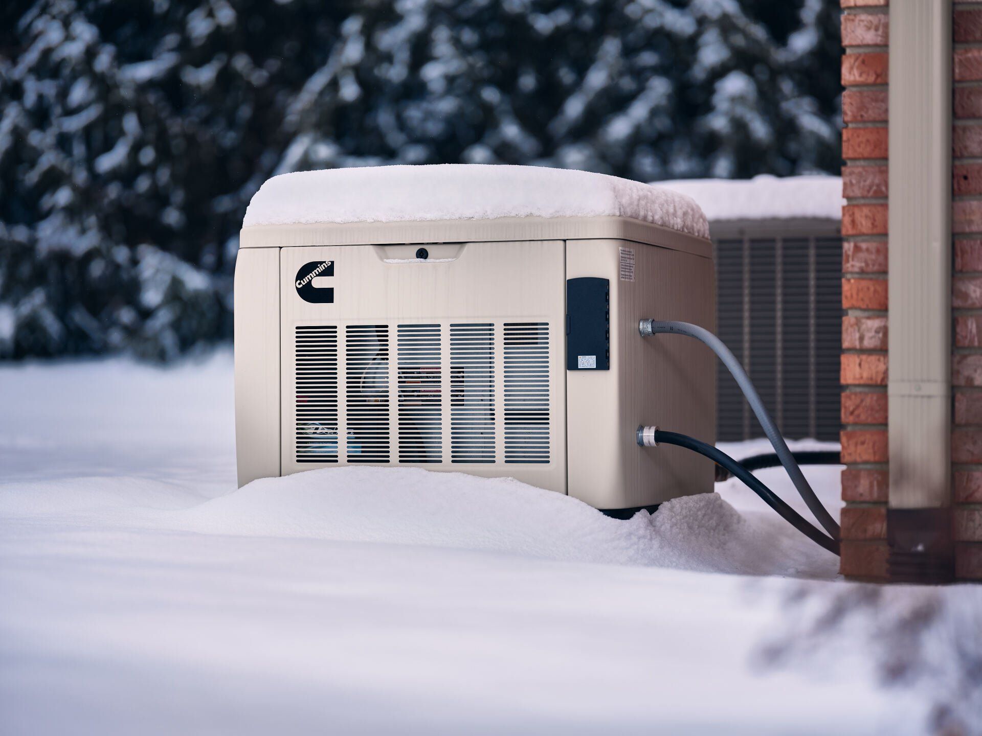 Cummins Home Generator in snow conditions.