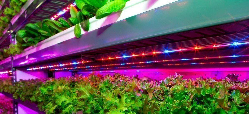 The vertical hydroponics system that Emirates Airlines, in conjunction with California's Crop One, will use to grow the in-flight food in the United Arab Emirates