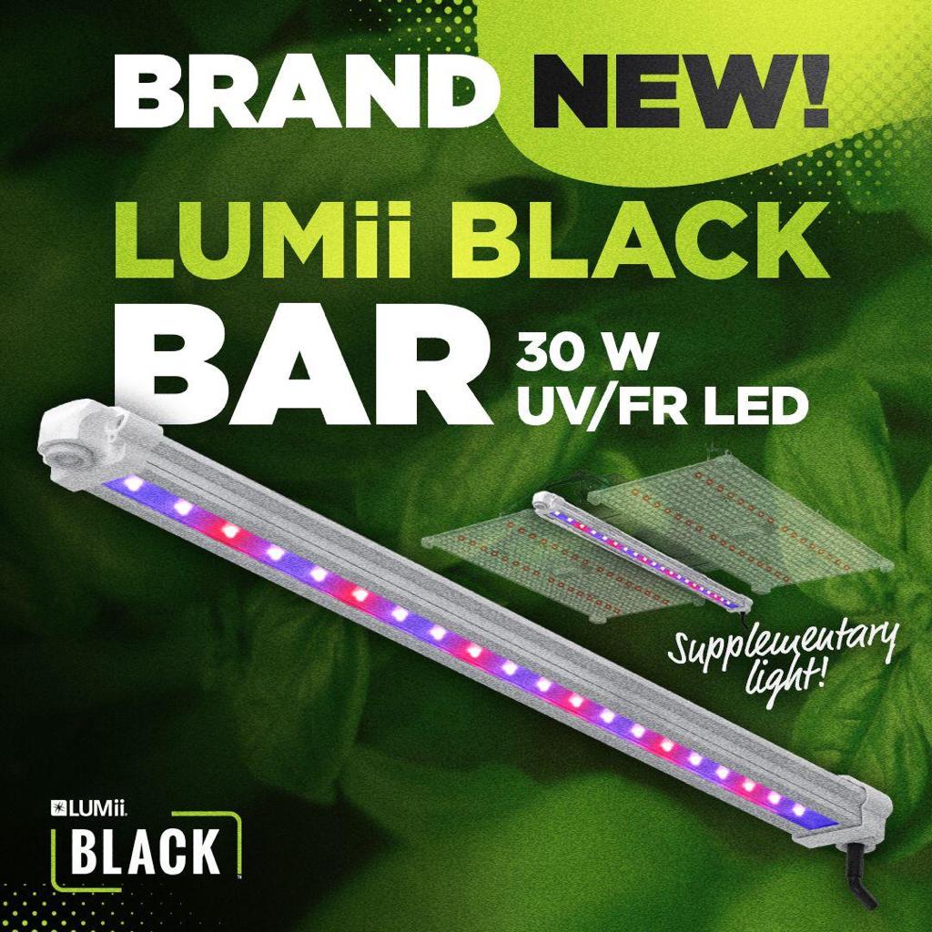 The brand new Lumii Black Bar